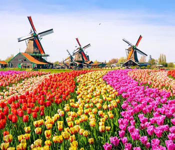 Olanda