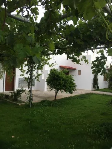 '