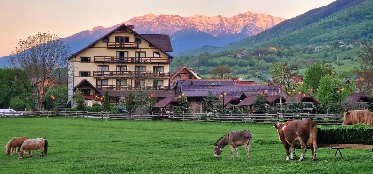 Pensiunea Hora Cu Brazi