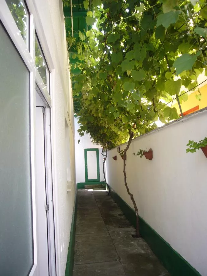 Casa Pinciuc