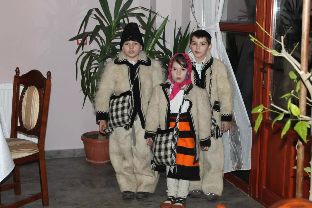 Pensiunea Crinul Alb