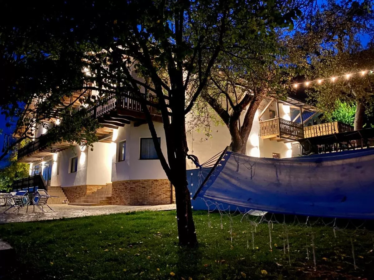 Pensiunea Panoramic Sus In Deal