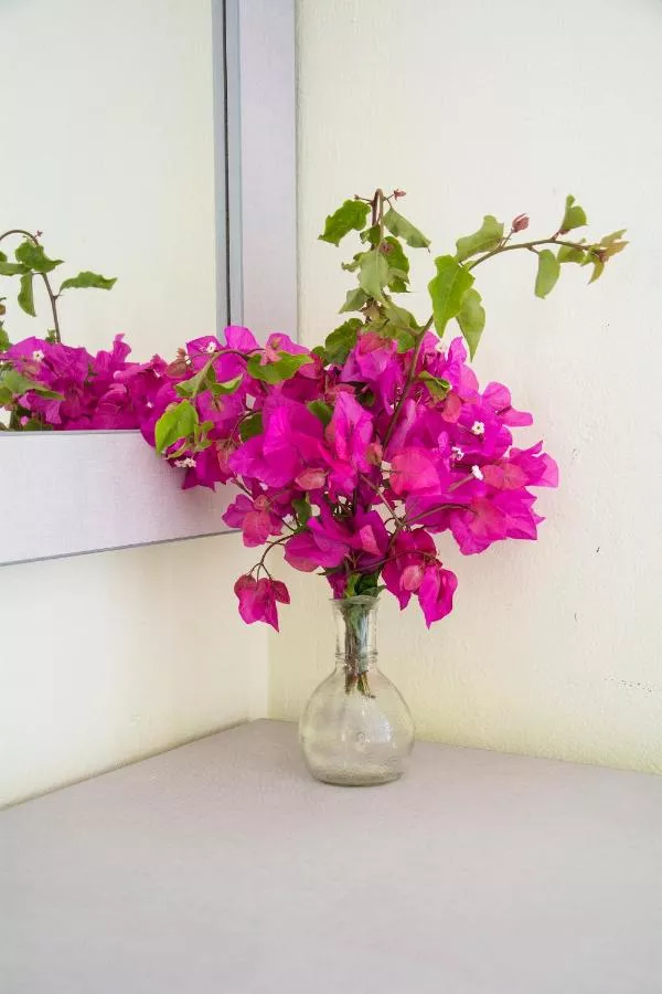 '