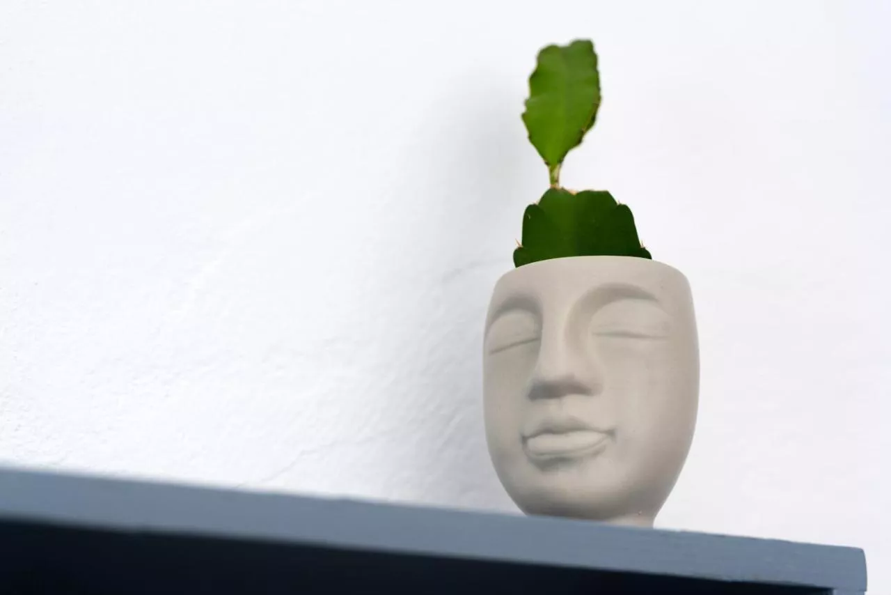 '