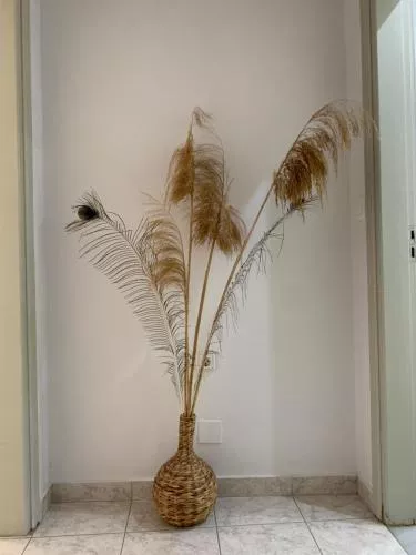 '