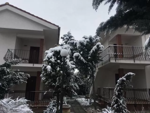 '