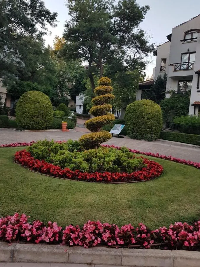 '