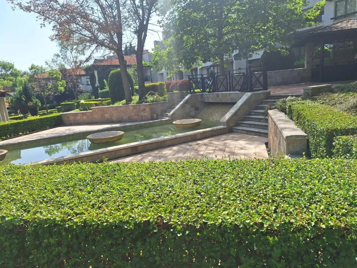 '