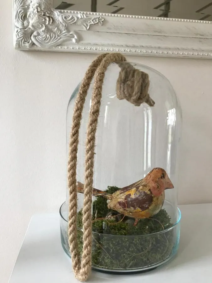 '