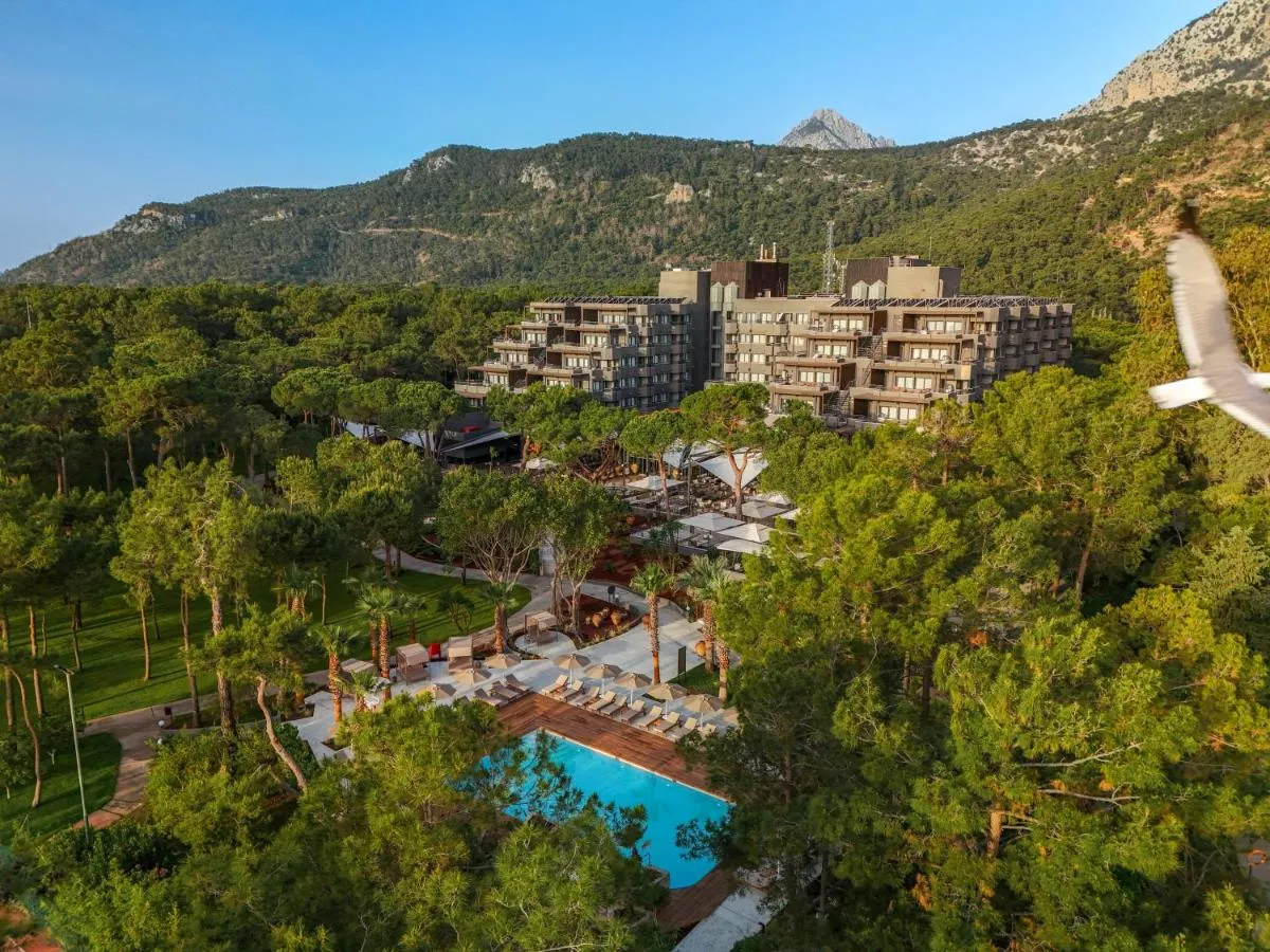 Balmy Foresta (Ex. Paloma Foresta)