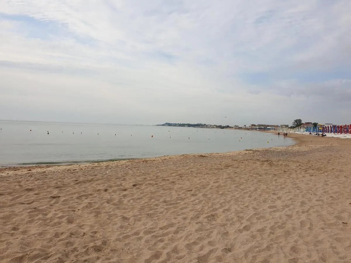 '