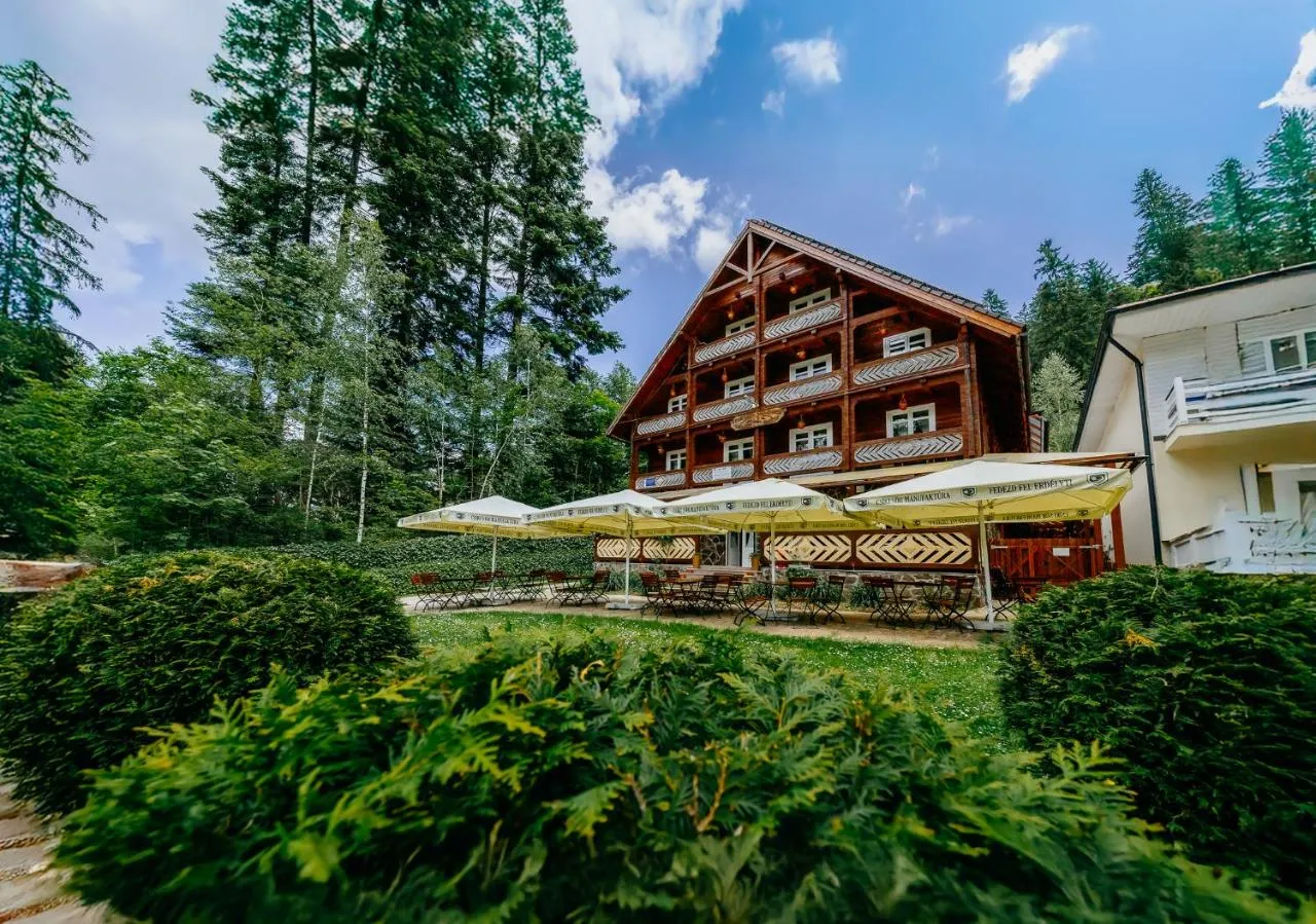 Pensiunea Vanatorul Baile Tusnad