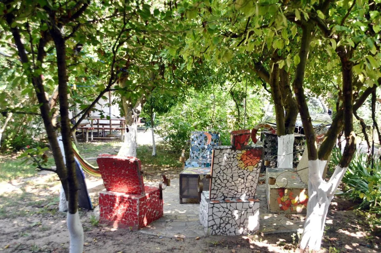 Casa de Vis Vama Veche