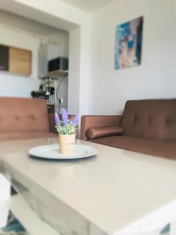 '