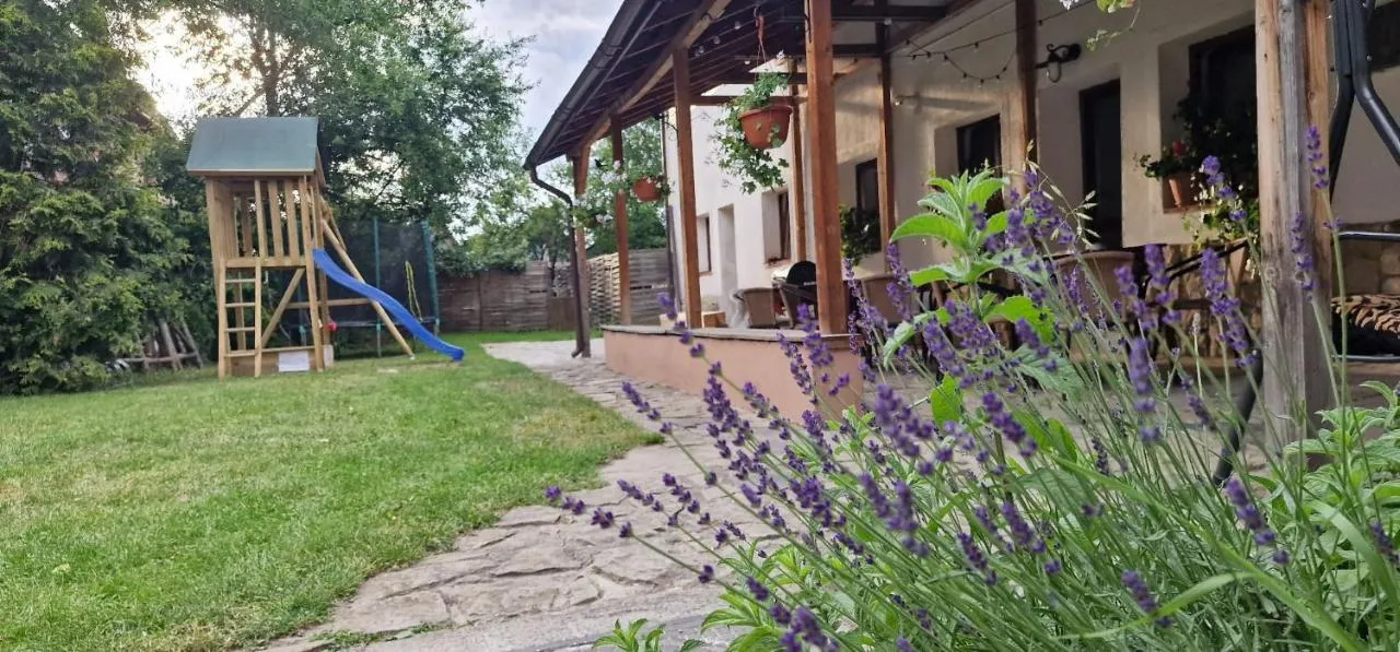 Studio Rasnov Apartaments
