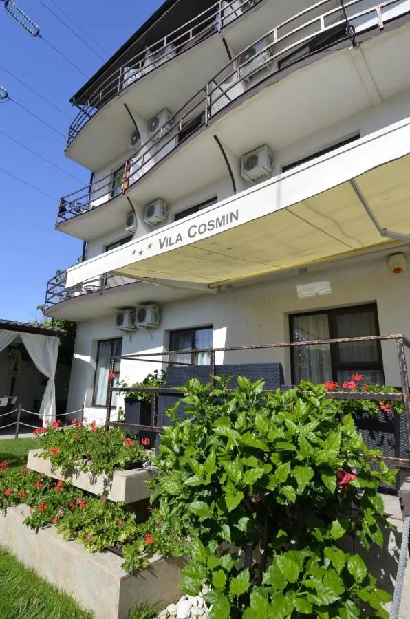 Vila Cosmin