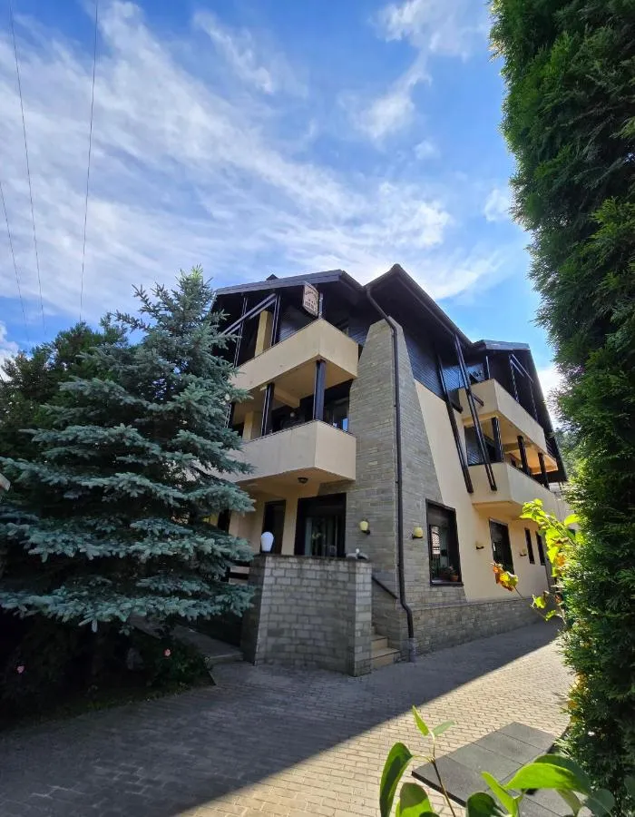 Pensiunea Public House