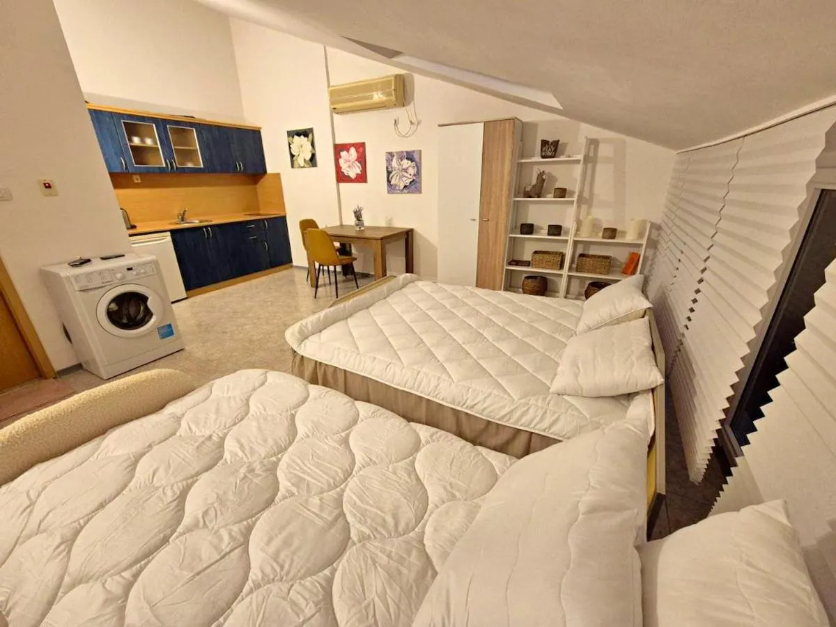 Studio Elit1 Forrent