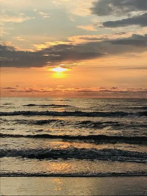 '