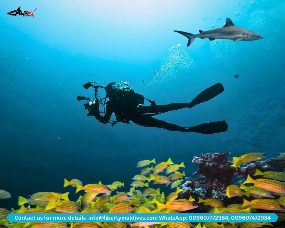 Liberty Guest House Maldives