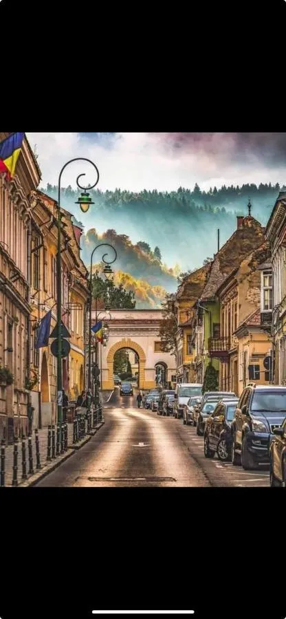 Smb Studio Poarta Schei