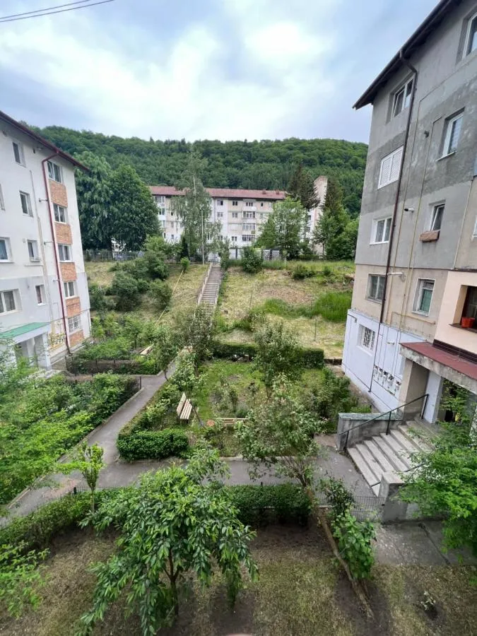 '