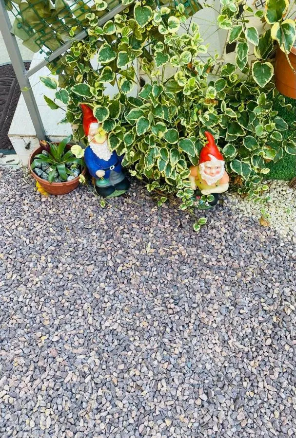'