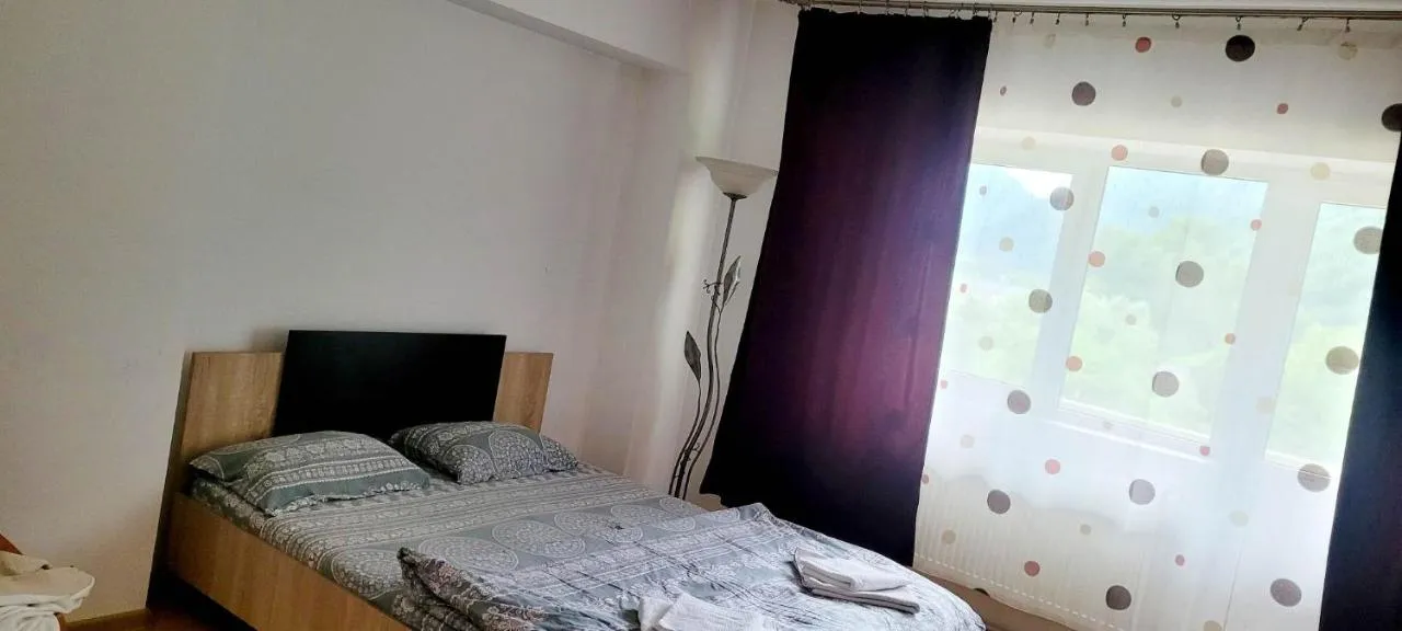 Garsoniera Deea Băile Herculane