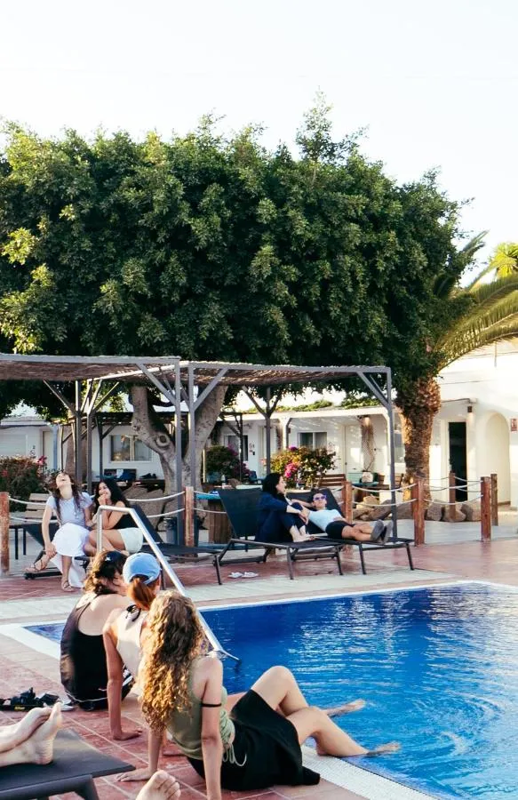 The Tree House Hostel