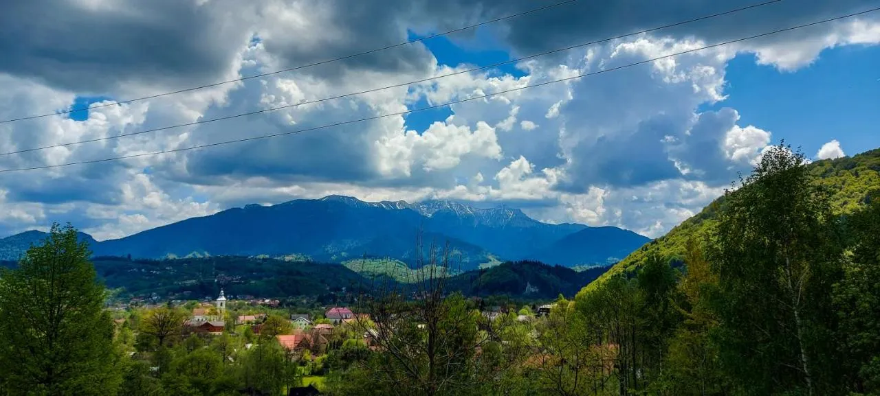 Inspire View