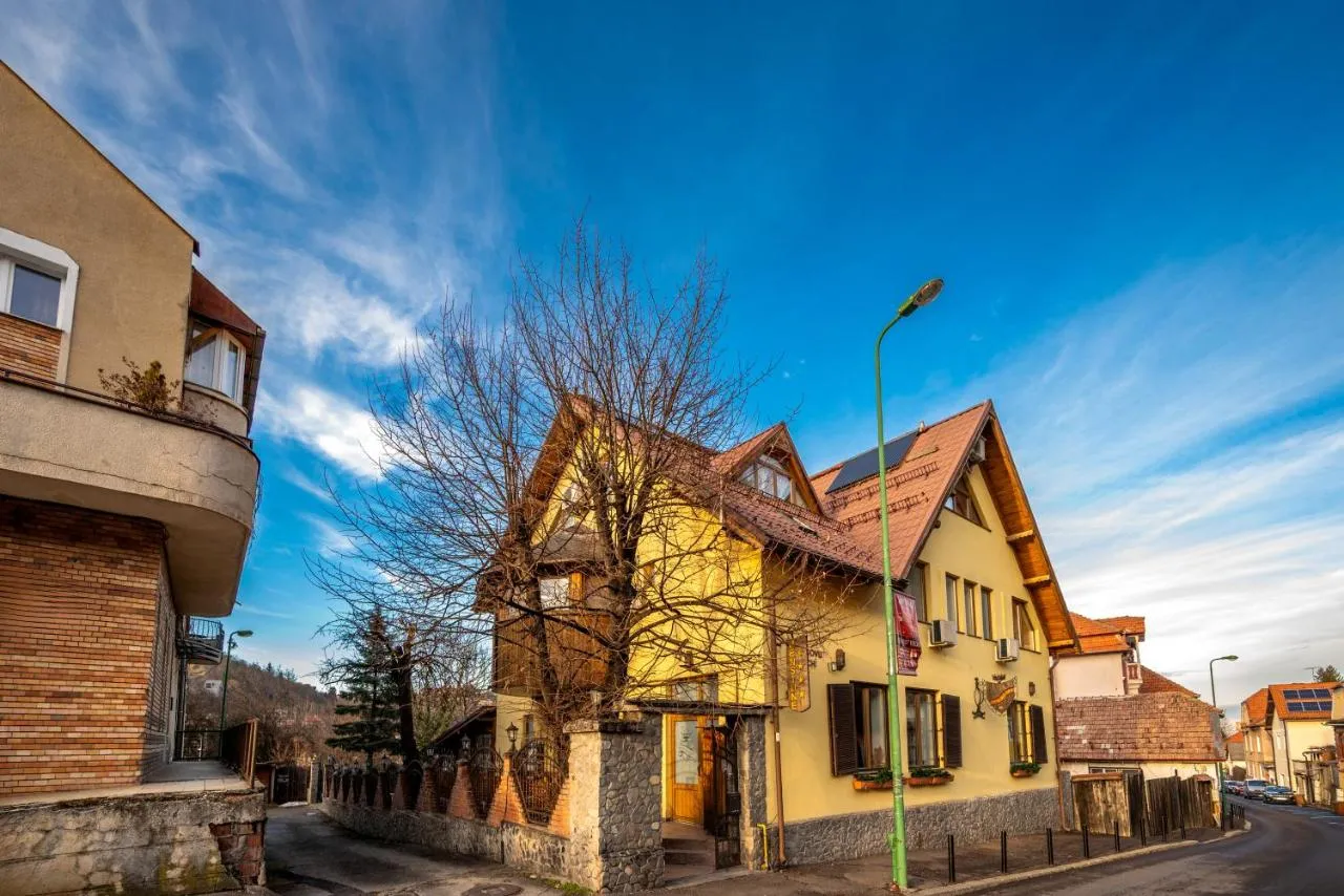 Pension Brasovu' Vechi