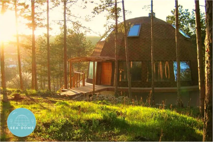 The Forest Sea Dome