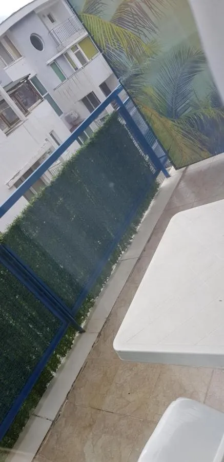 '