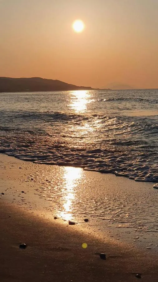 '
