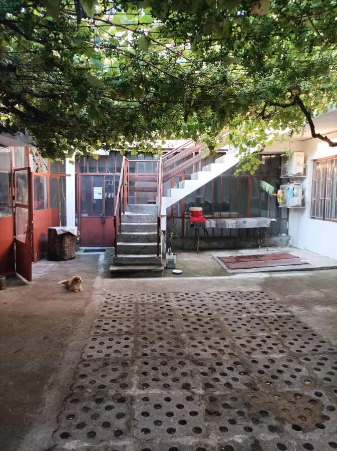 Kyshta Za Gosti Bqla Kyshta