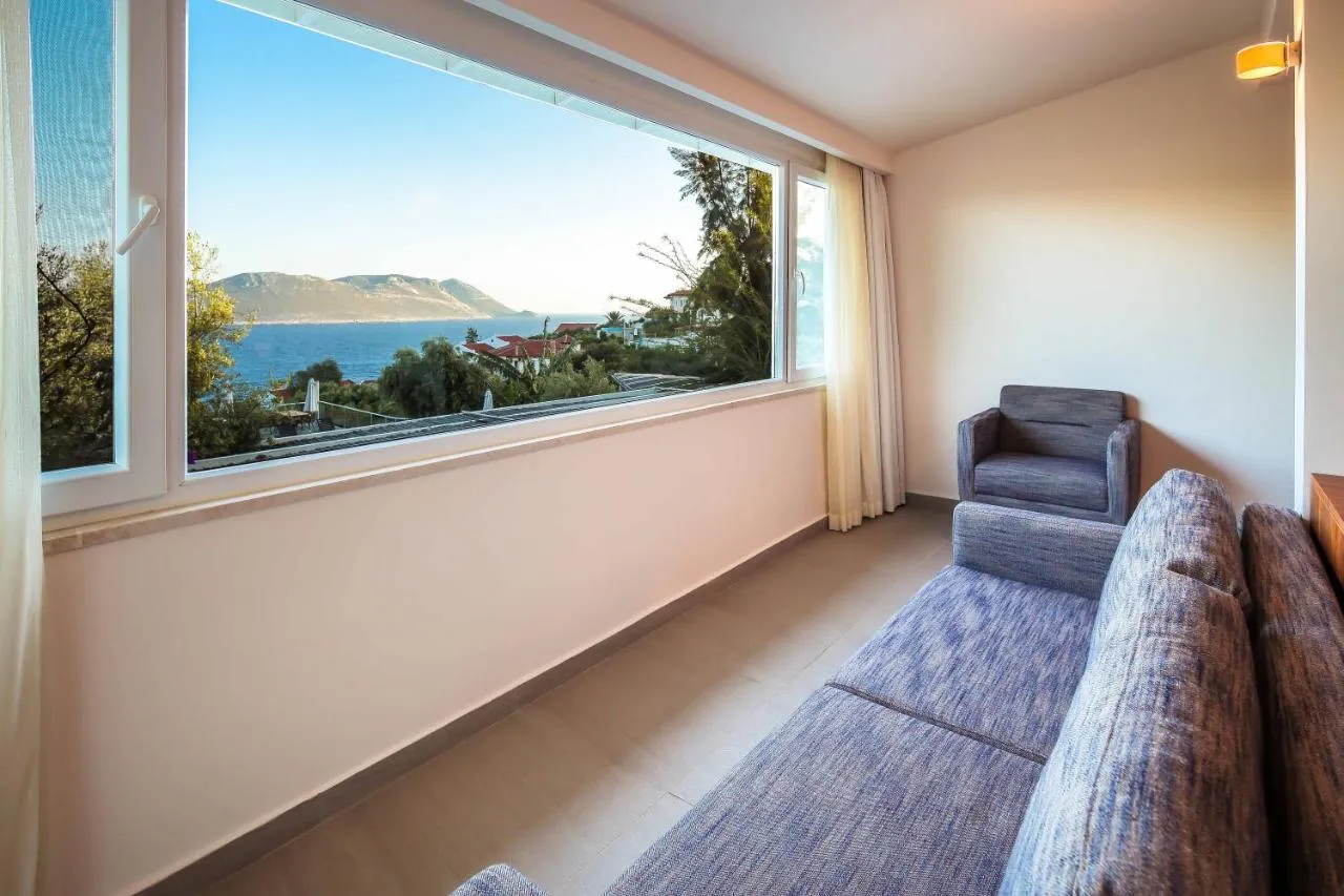 '