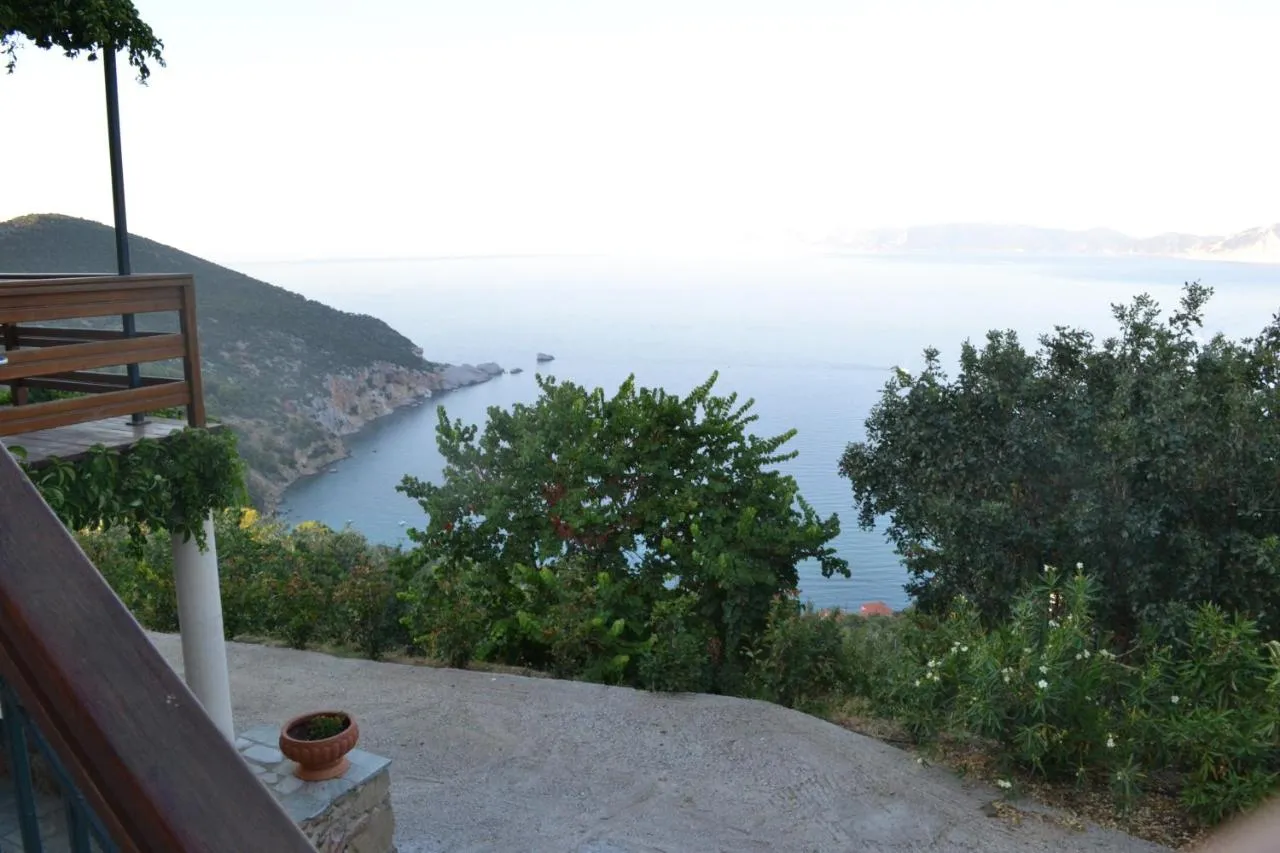 '