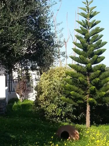'