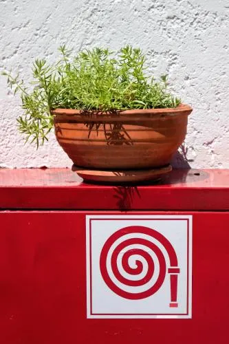 '
