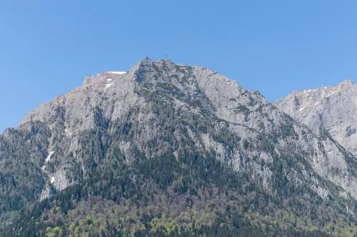 '