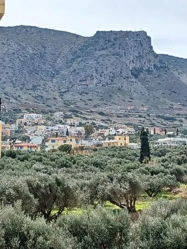 '