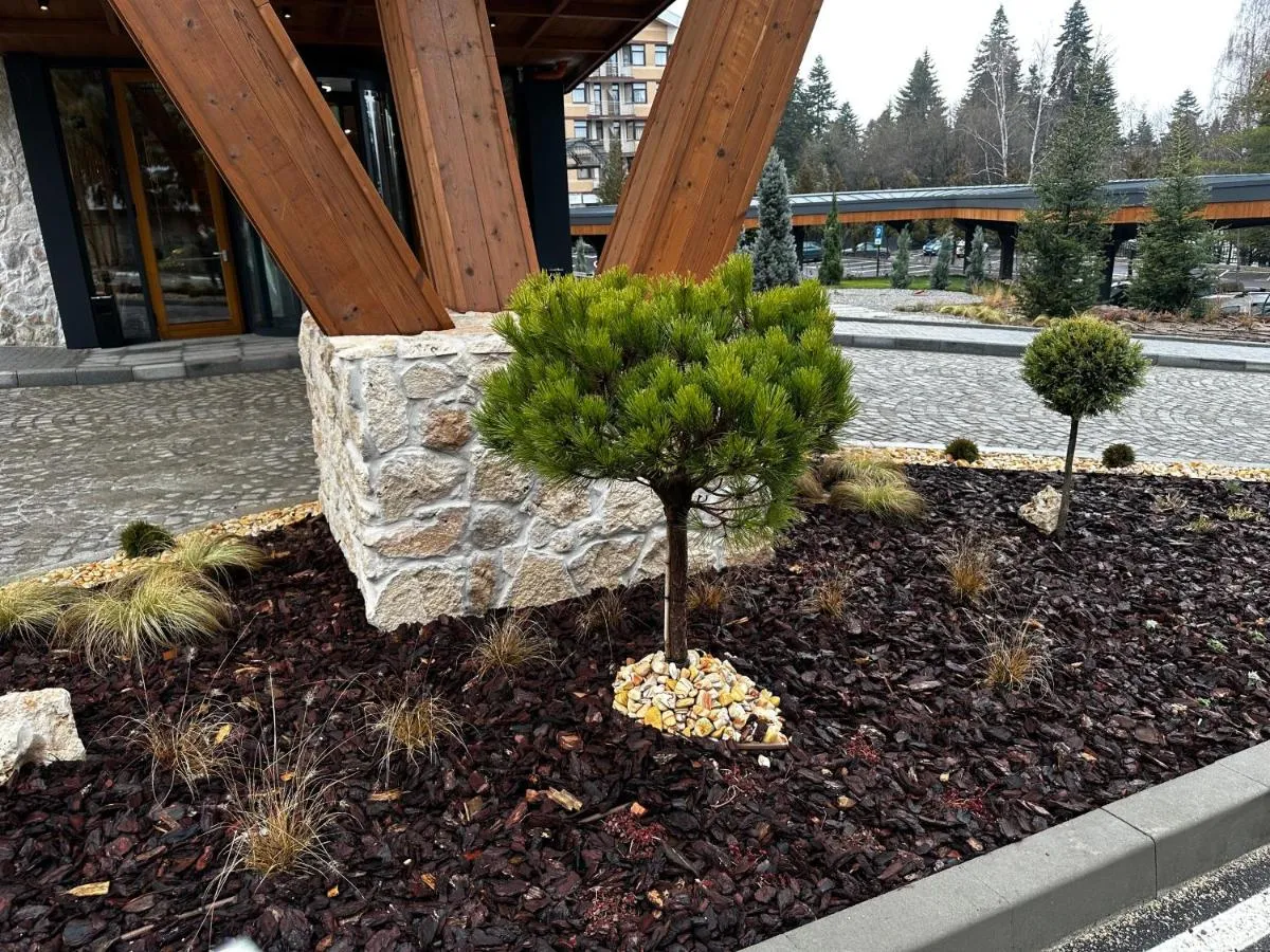'