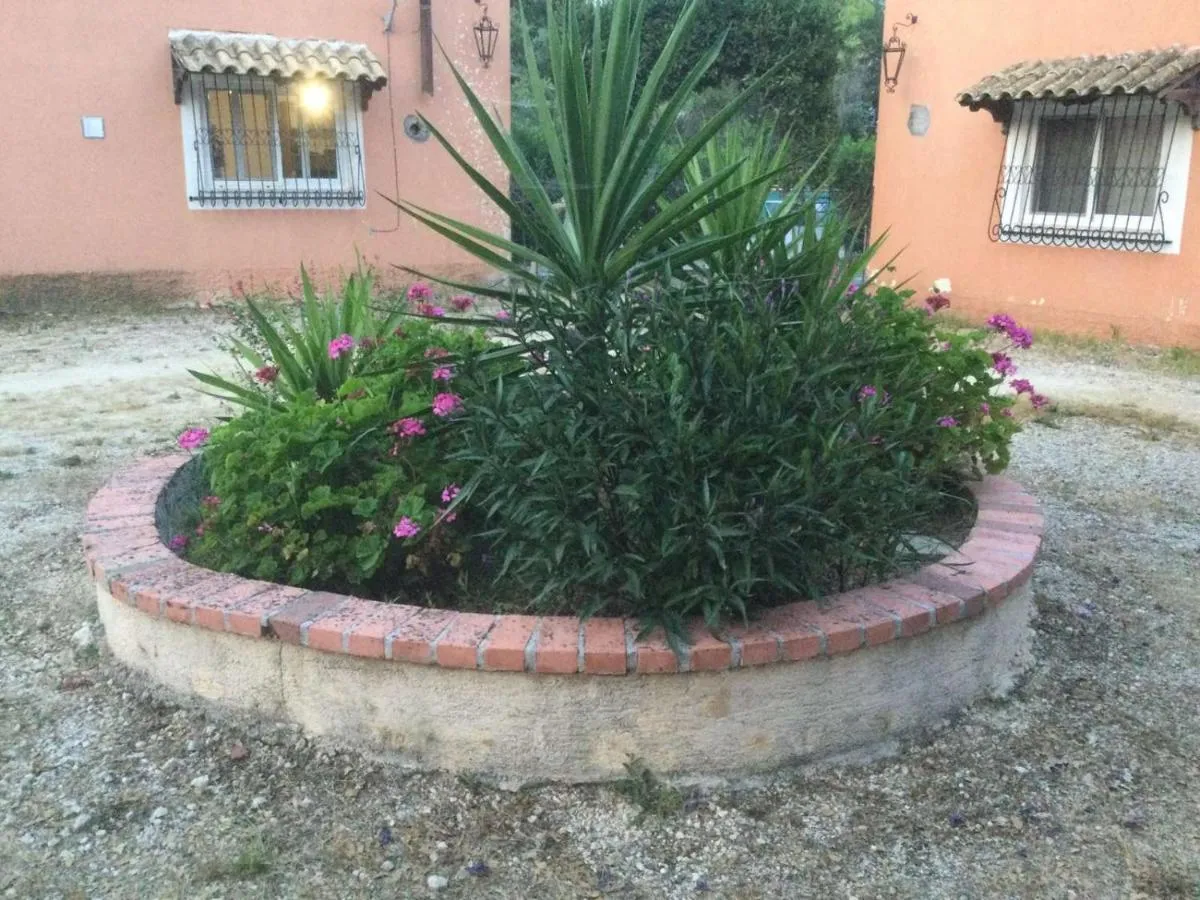 '