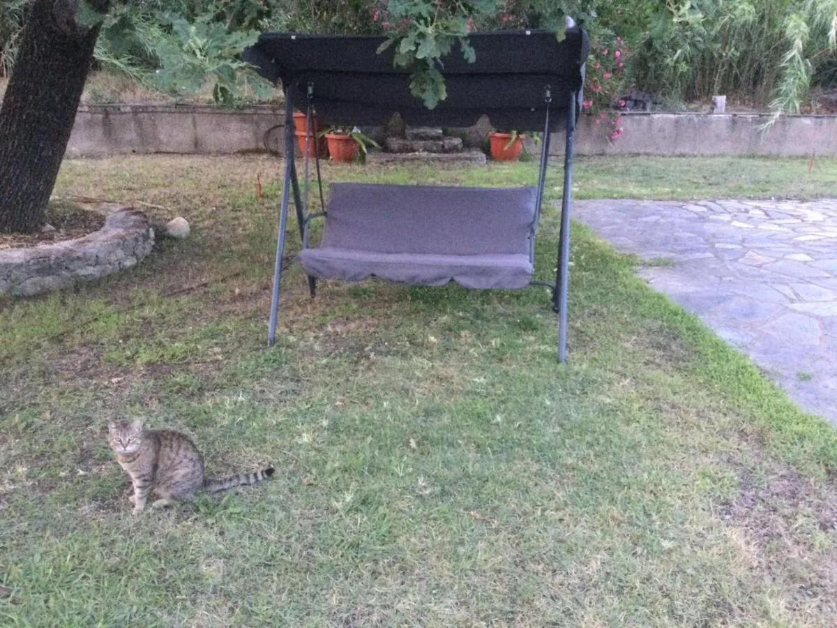 '