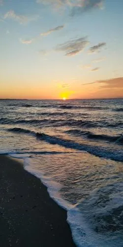 '