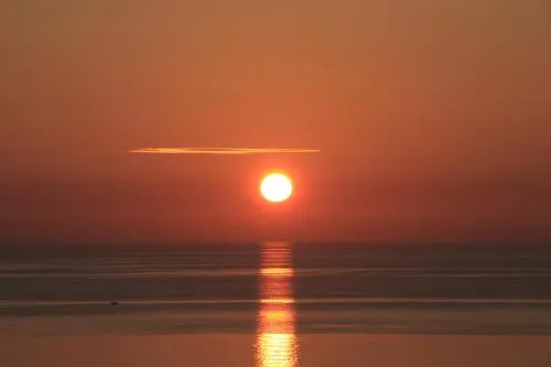 '
