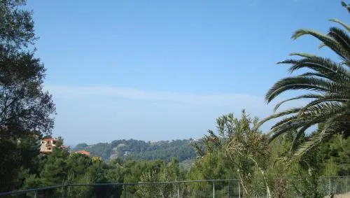 '