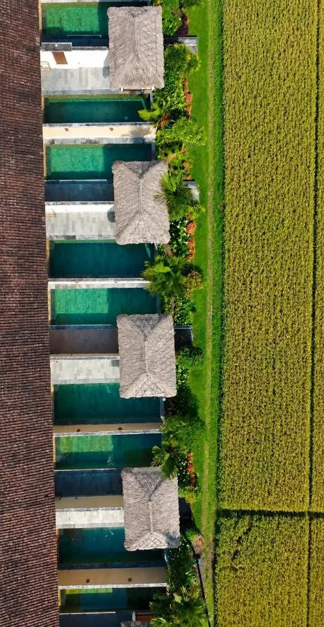Alam Puisi Villa