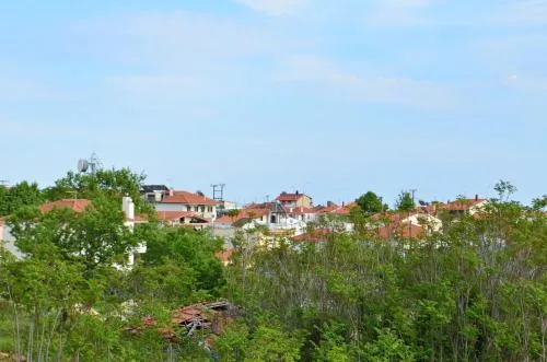 '