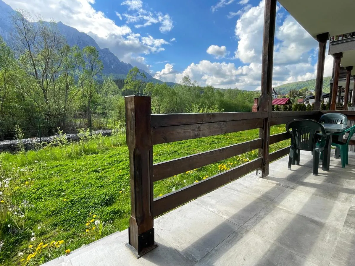 Cozy Riverfront Apartments With Mountain View